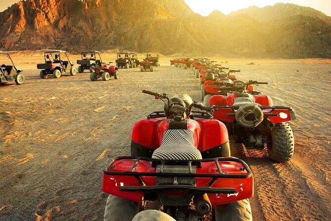 Private Full-Day Tour to West and East Bank of Luxor - What’s Included and What to Expect