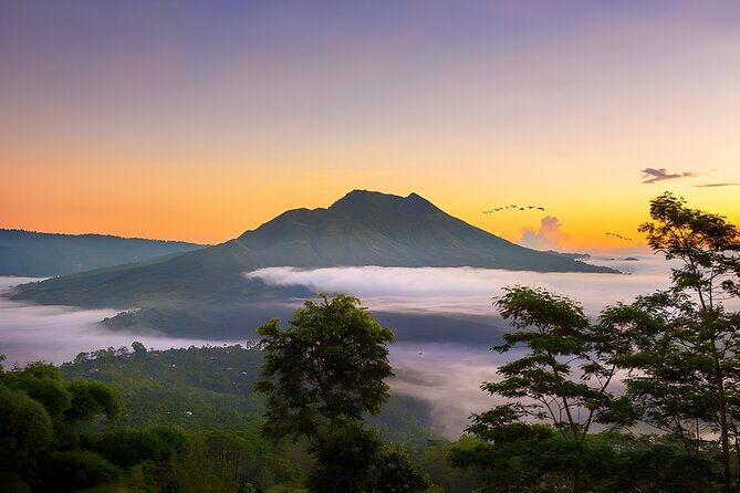 Private Full-Day Tour: Waterfall, Temple, Volcano, Rice Terrace & Monkey Forest - Key Points