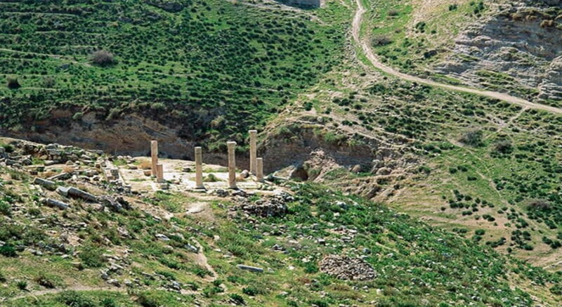 Private Full Day Trip of Umm Qais, and Pella from Amman - The Experience: Comfort, Timing, and Authenticity
