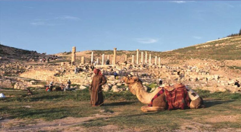 Private Full Day Trip of Umm Qais, and Pella from Amman - Who Will Love This Tour?