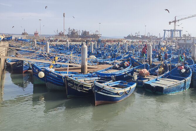 Private Full Day Trip to Essaouira from Marrakech- included Lunch - Key Points