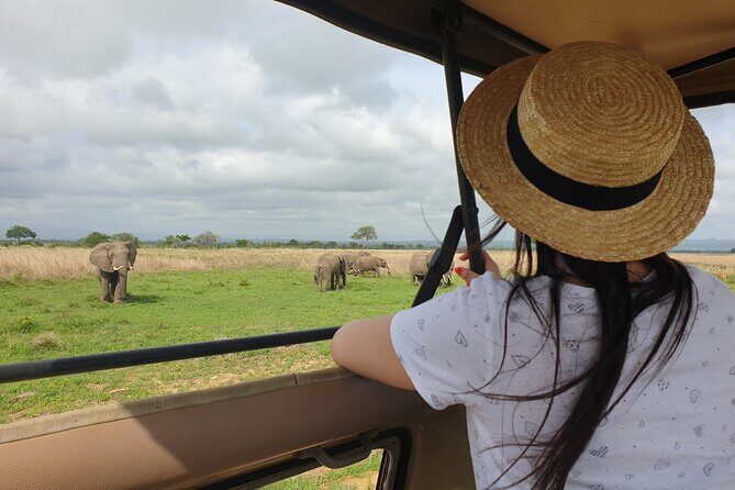 Private Full-Day Trip to Mikumi National Park from Dar es Salaam - Exploring the Private Full-Day Trip to Mikumi National Park from Dar es Salaam