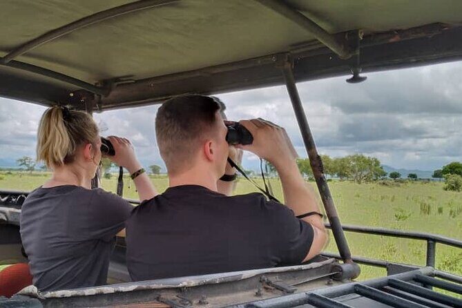 Private Full-Day Trip to Mikumi National Park from Dar es Salaam - The Experience of Guides and Reviews