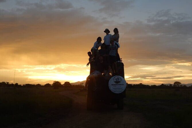 Private Full-Day Trip to Mikumi National Park from Dar es Salaam - Price and Value Analysis