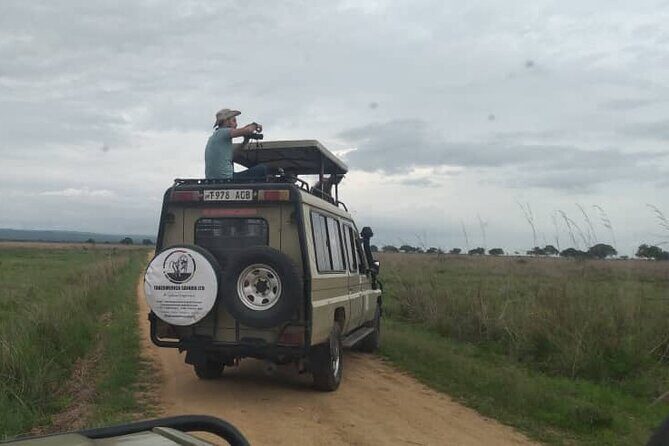 Private Full-Day Trip to Mikumi National Park from Dar es Salaam - The Sum Up: Is It Worth It?