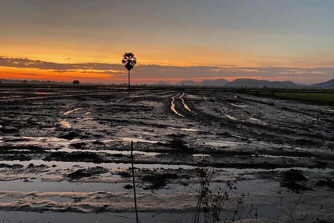Private Full Day Tuk Tuk Tour in Battambang - An In-Depth Look at the Itinerary