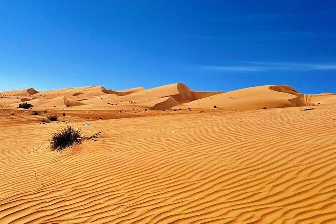 Private Full Day Wadi Bani Khalid With Watching Desert Sunset - The Sum Up: Who Will Love This Tour?