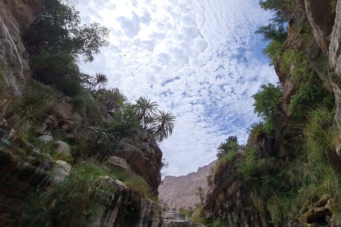 Private Full-Day Wadi Tiwi and Bimmah Sinkhole Tour from Muscat - The Sum Up: Who’s This Tour Perfect For?