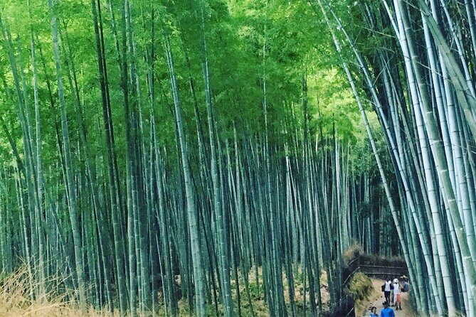 Private Full-Day Walking Tour of Kyoto - Analyzing the Tour’s Value
