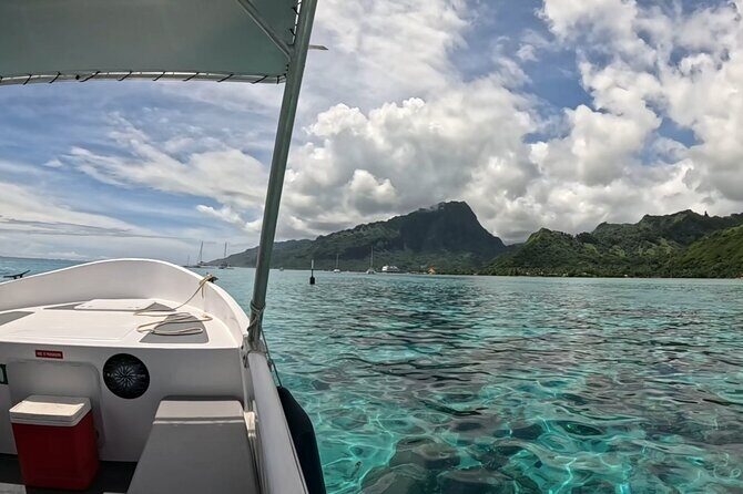 Private full day whale watching tour with lunch - Wrapping Up