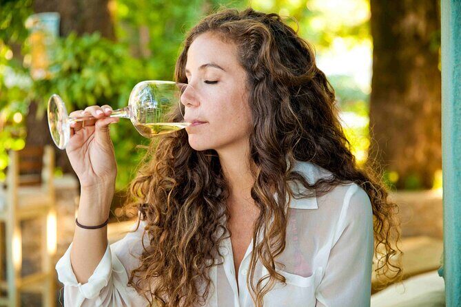 Private Full Day Wine Tour in Cape Town - An Inside Look at the Itinerary