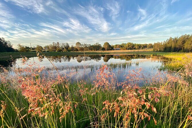 Private full-day wine tour in the Hunter Valley - The Value Question