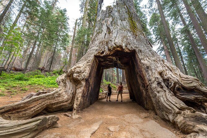 Private Full Day Yosemite National Park Tour from San Francisco - Who is this tour best suited for?