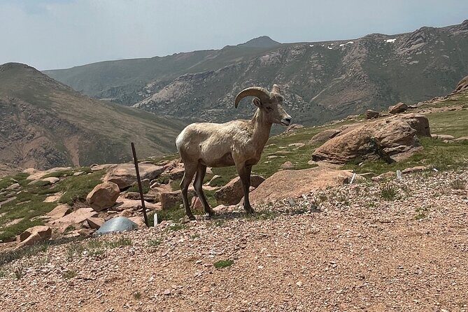 Private Full DayJeep Tour Garden of Gods Pike's Peak from Denver - Who Will Love This Tour?