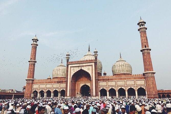 Private Full or Half Day Old and New Delhi City Tour - What You Get with This Delhi Tour