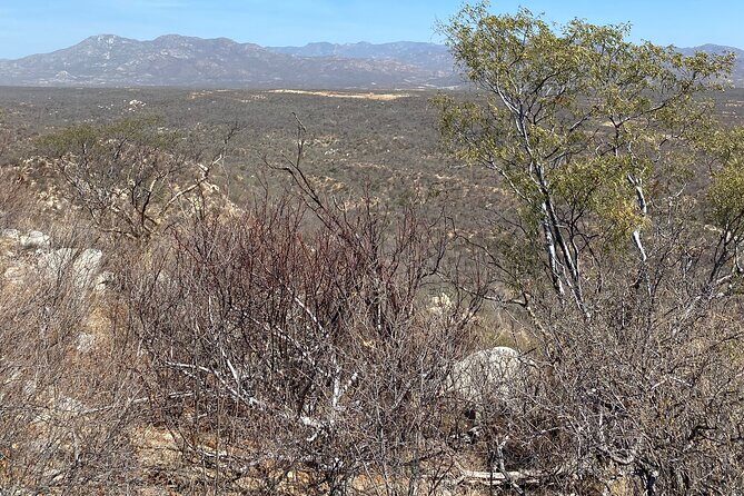 PRIVATE Fun Hiking Tour with Awesome Views - What’s Included and What’s Not