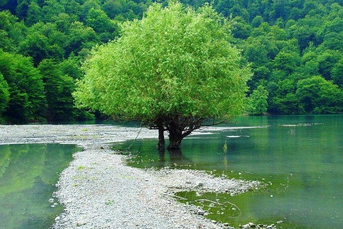 Private Gabala Tour - Diving Into the Itinerary: What to Expect