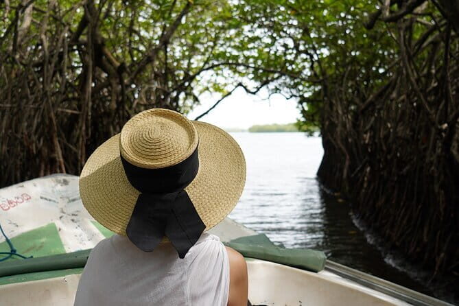 Private Galle Day Tour with River Safari, Stilt fishing & Turtles - Why This Tour Offers Great Value