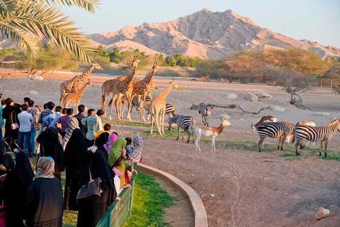 Private Garden City Tour with Zoo Ticket at Al Ain - Exploring Al Ain: A City of Contrasts and Charm