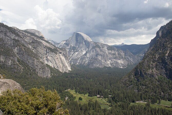 Private Giant Sequoia Grove Hike - Final Thoughts