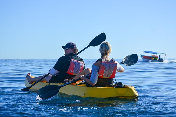 Private Glass bottom Kayak and snorkel at two Bays - Practical Details: What to Know Before Booking