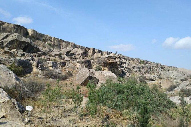 Private Gobustan Tour - Practical Details and Tips