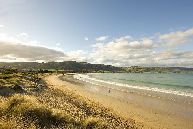 Private Great Ocean Road and Twelve Apostles Tour from Melbourne - Practical Details and Experience Quality