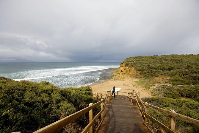 Private Great Ocean Road and Twelve Apostles Tour from Melbourne - The Sum Up