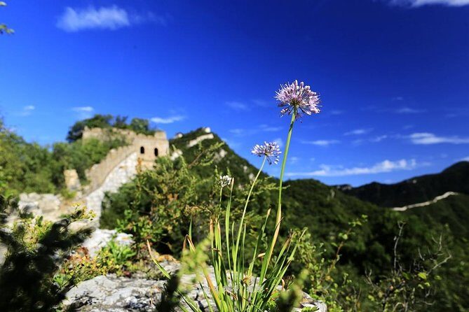 Private Great Wall Hiking from Jiankou to Mutianyu - The Value of a Private, Guided Tour
