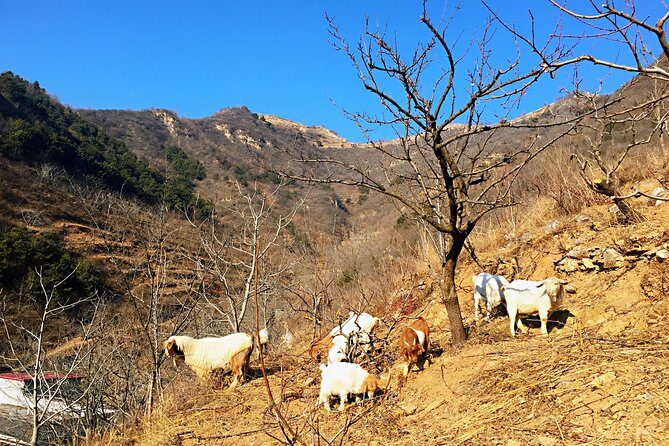Private Great Wall Hiking Tour: Across The Border of 3 China Provinces - How the Tour Feels: Authentic, Calm, and Informative