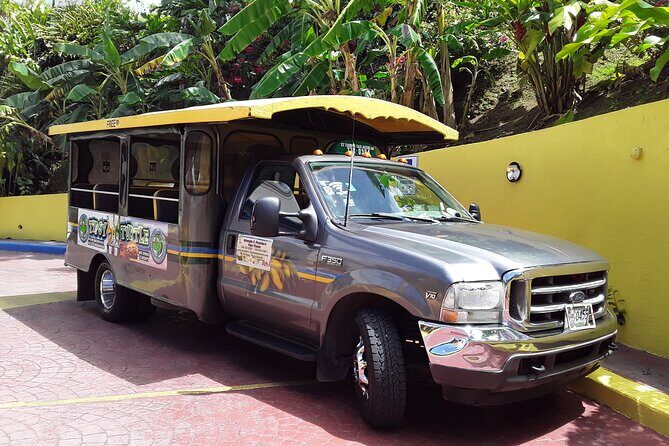Private Ground Transfers - The Driver and Service Quality