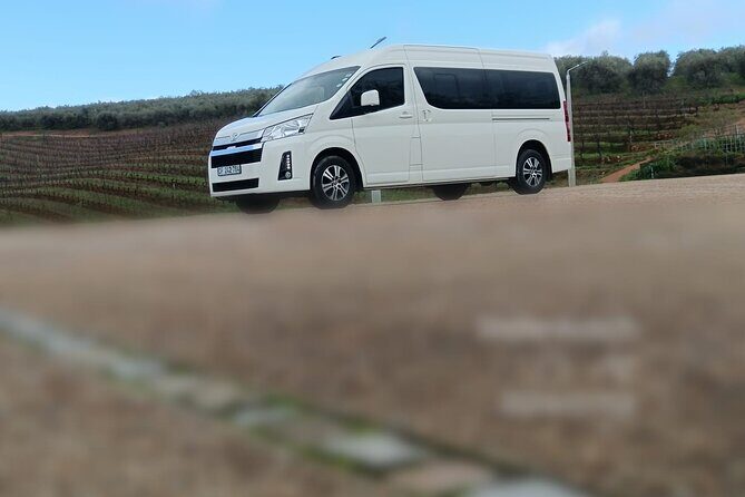 Private Group 4-13 passengers Cape Town Airport Transfers - What You Can Expect from the Transfer