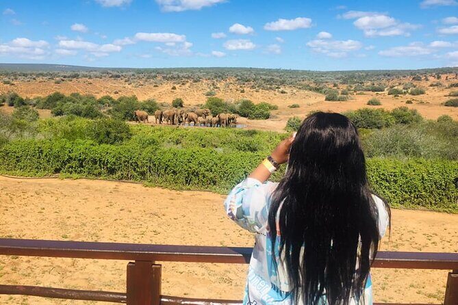 Private Group Addo Full Day Safari & Traditional Braai (BBQ)Lunch - Final Thoughts: Who Will Love This Tour?