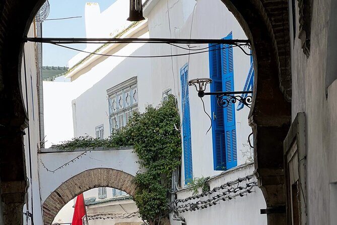 Private Group Day Tour Tunis Medina Carthage Sidi Bou Said - Who Should Book This Tour?