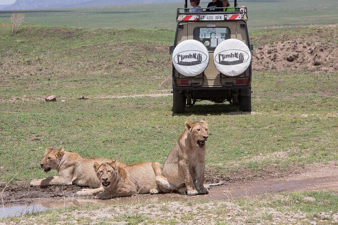 Private Group Serengeti Safari, Crater & Tarangire National Park - Practical Considerations and Value