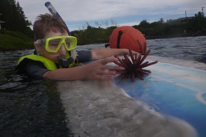 Private Group Snorkel Adventure on Tropical Reef with Sea Turtles - Who Would Love This Tour?