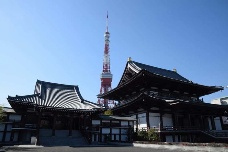 Private Group Tokyo Day Tour in a car or van - Introduction