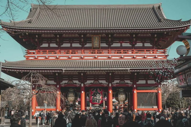 Private Group Tokyo Day Tour in a car or van - Key Points