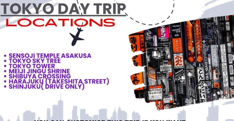 Private Group Tokyo Day Tour in a car or van - The Practicalities: What’s Included and What’s Not