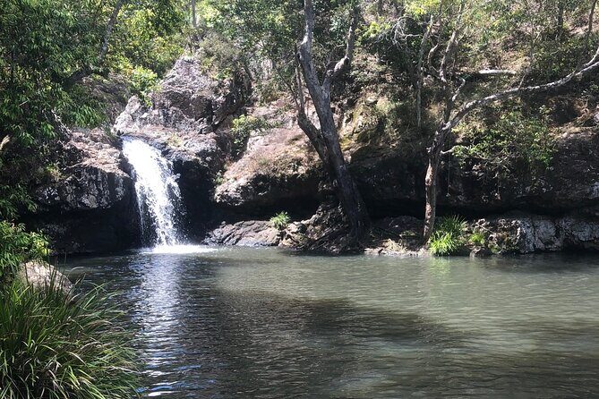 Private Group Tour Brisbane & Gold Coast Personal Tours - Authentic Traveler Perspectives