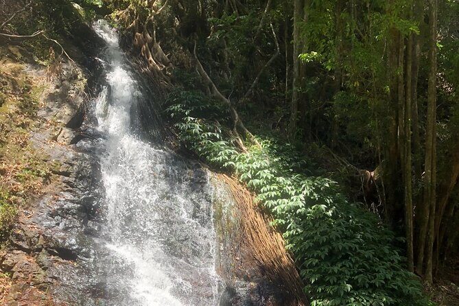 Private Group Tour Brisbane & Gold Coast Personal Tours - FAQs