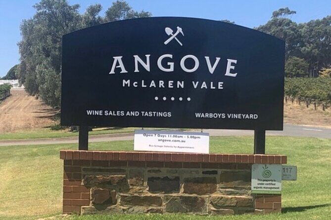 Private Group Wine Tasting in McLaren Vale - The Itinerary in Detail