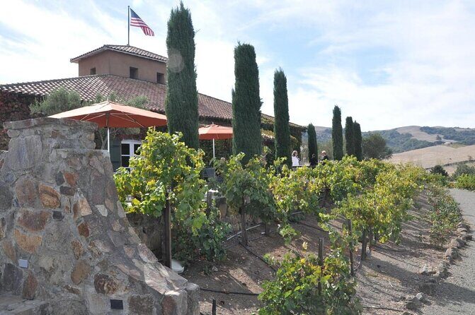 Private Group Wine Tour of Napa and Sonoma - A Deep Dive into the Experience