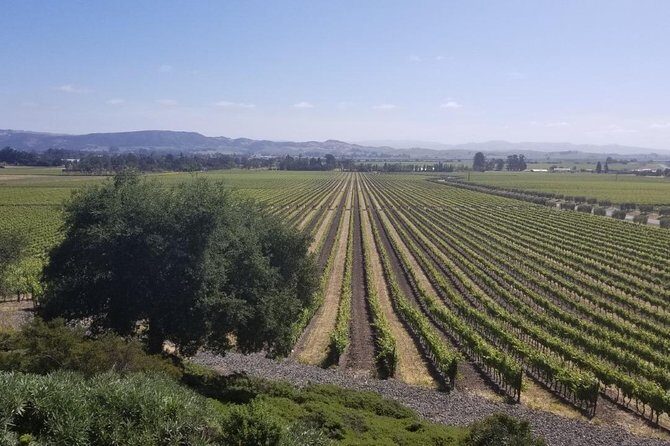 Private Group Wine Tour of Napa and Sonoma - Analyzing the Value