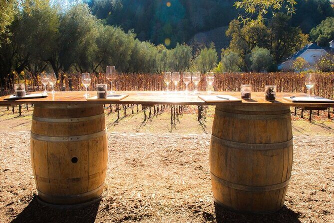 Private Group Wine Tours in Napa Valley - Authentic Traveler Insights
