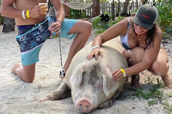 Private GroupTour Pigs/Turtles/Snorkeling/Lunch/Pickup/Dropoff - An Overview of the Private Nassau SeaXscape Tour