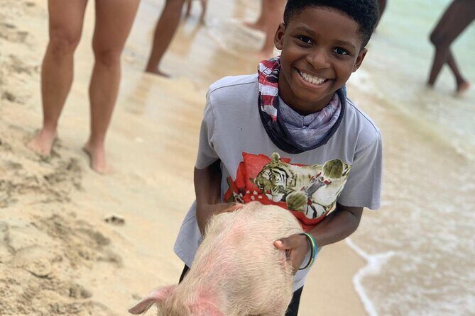 Private GroupTour Pigs/Turtles/Snorkeling/Lunch/Pickup/Dropoff - Detailed Itinerary Breakdown