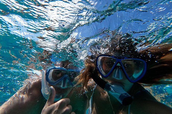Private GroupTour Pigs/Turtles/Snorkeling/Lunch/Pickup/Dropoff - Why This Tour Works Well