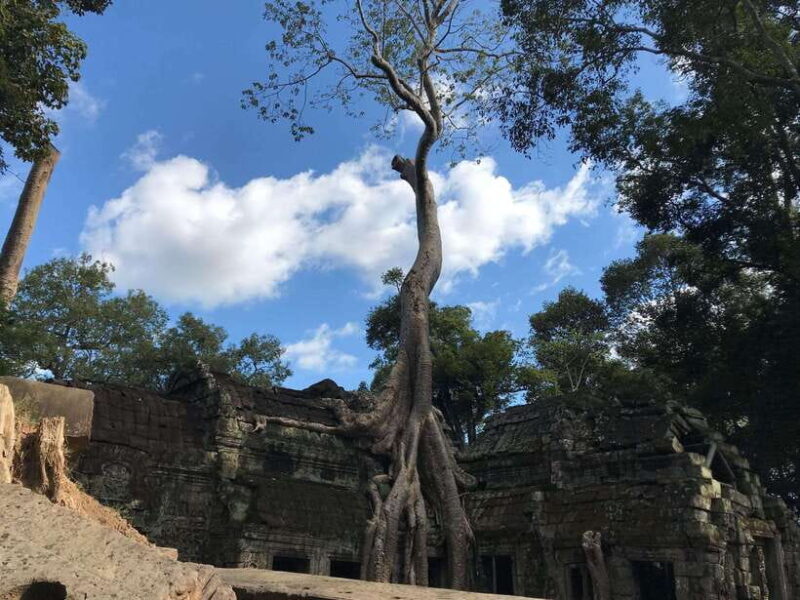 Private Guide: 1-Day Tour to Angkor Wat - Why Choose This Tour?