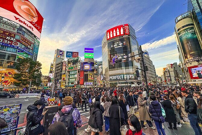 Private Guided 1/2-Day Walking Subway Tour in Tokyo (English) - Why Choose This Tour?